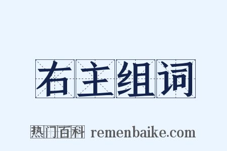 右主组词是什么意思的图片